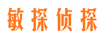 龙川市私家侦探